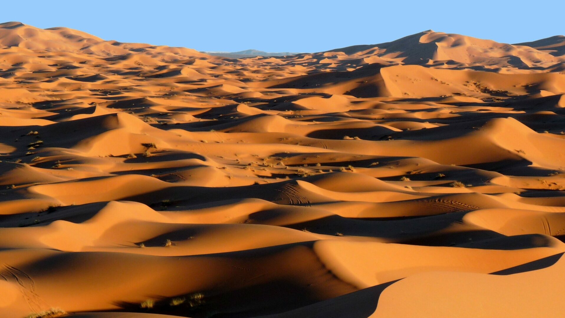 Les dunes de l'erg Chebbi, près de Merzouga, dans le Sahara marocain