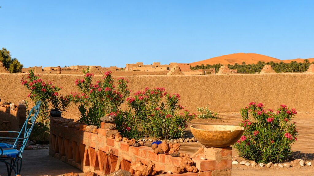 Vue depuis la terrasse de l'auberge la Vallée des Dunes à Hassilabied