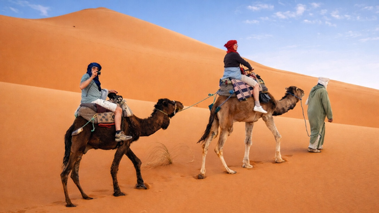 Randonnée à dos de dromadaire pour admirer le coucher du soleil, dans les dunes de l'erg Chebbi