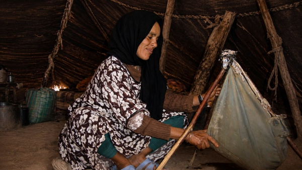 Barattage du lait de chèvre dans le campement d'une famille nomade, dans le désert minéral du sahara