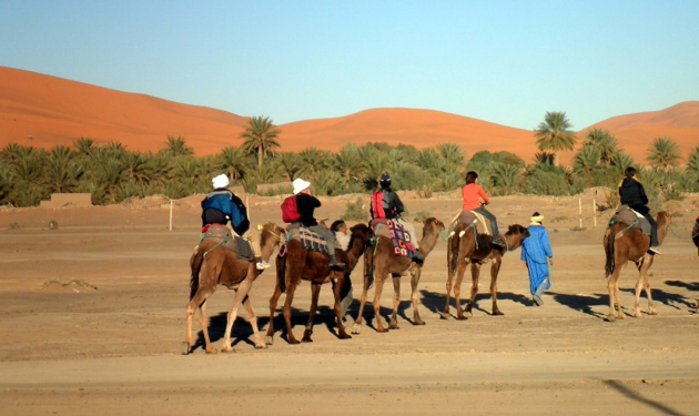 Départ d'une randonnée chamelière dans les dunes de l'erg Chebbi, depuis le village de Hassilabied